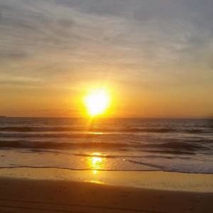 Meet your Posher, Chasity